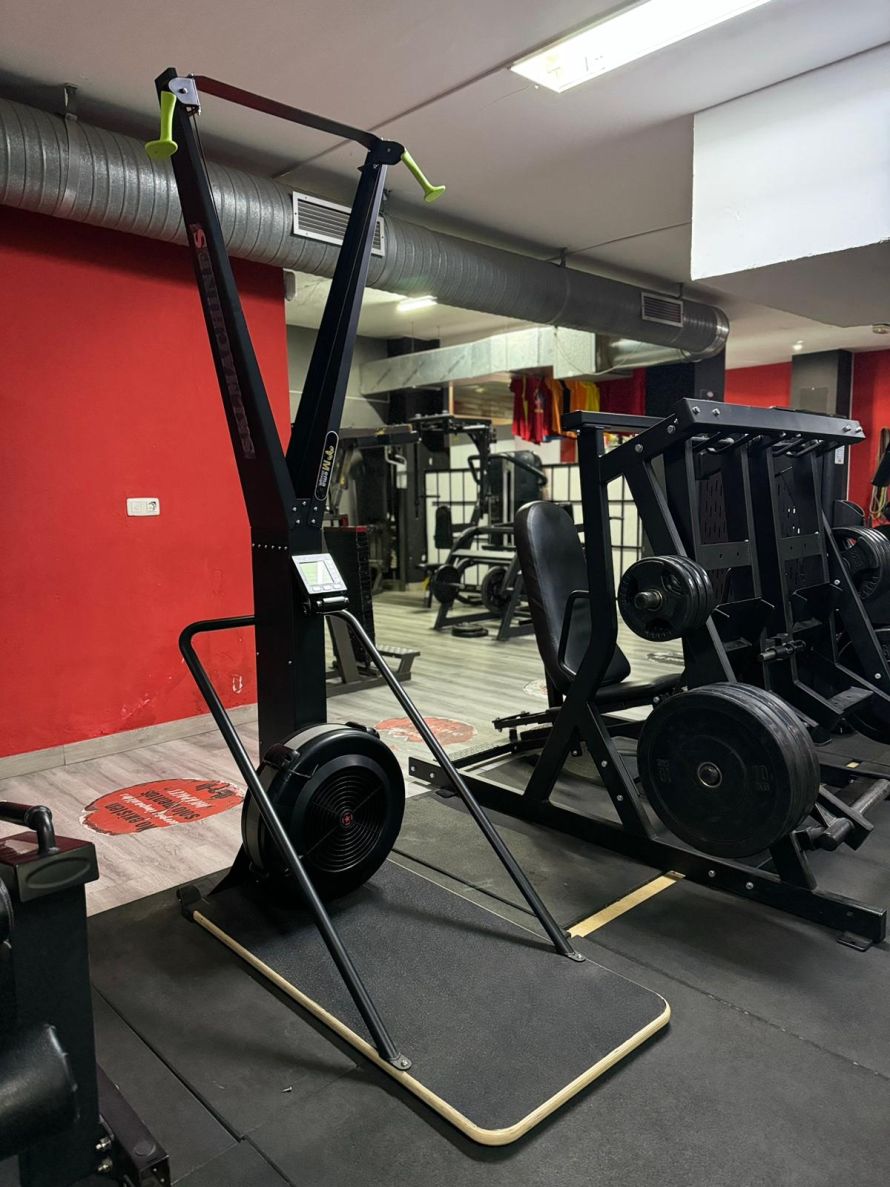 Remo Sky Entrenamiento Completo Gimnasio Granada